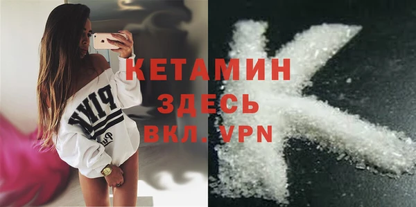 молекула духа Ладушкин