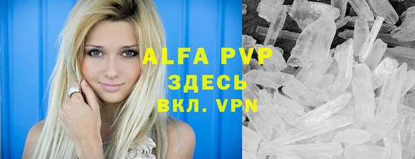 молекула духа Ладушкин