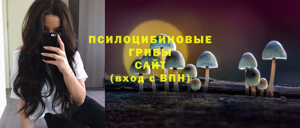 молекула духа Ладушкин