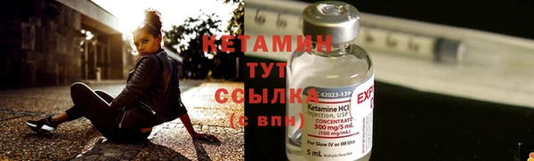 молекула духа Ладушкин