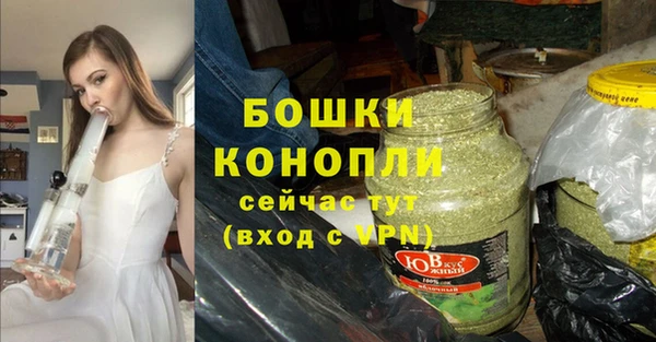 молекула духа Ладушкин