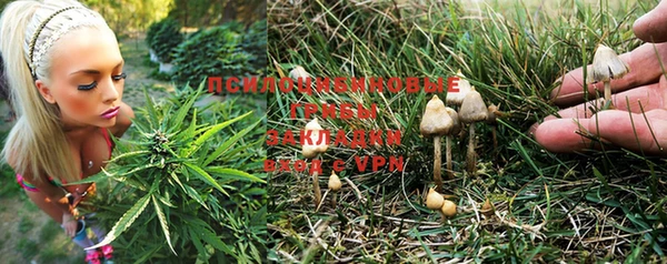молекула духа Лиски