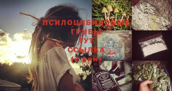 индика Волгодонск